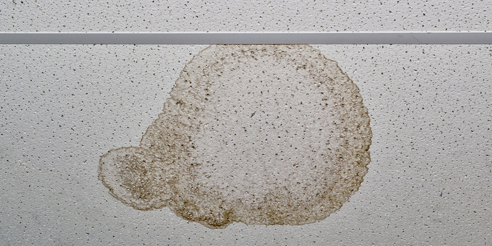 water stain on an office ceiling 